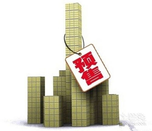 金水房产律师 口碑好能力强的专业法律保障